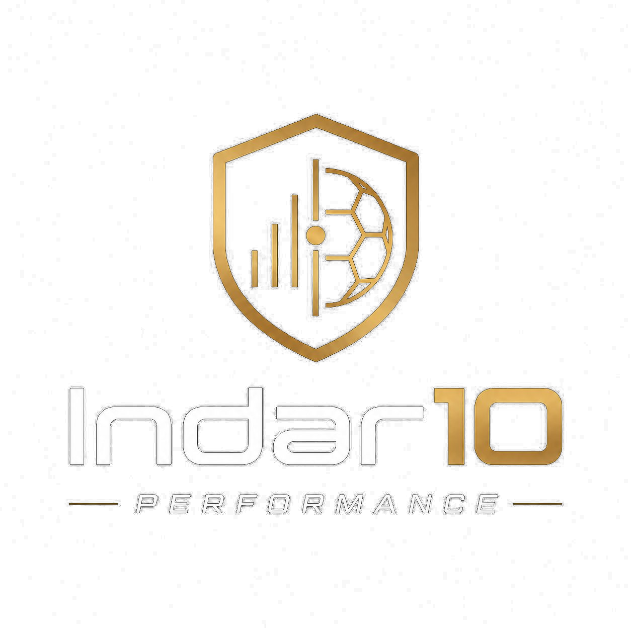 Indar10 Performance
